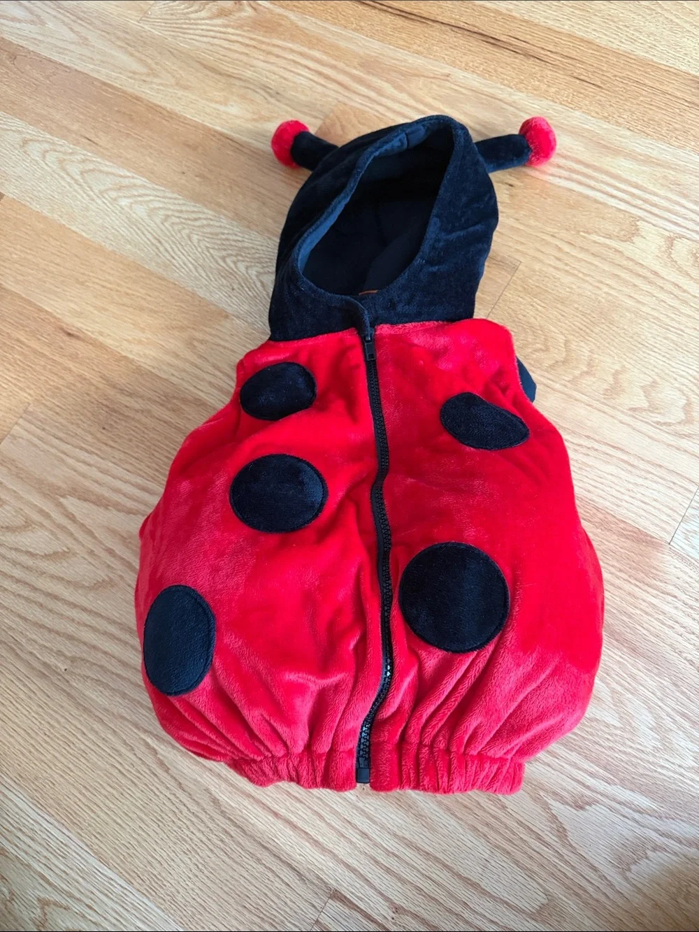 Kids Red Ladybug One-Piece Costume with Hood